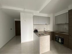 The Florence Residences (D19), Apartment #427646061